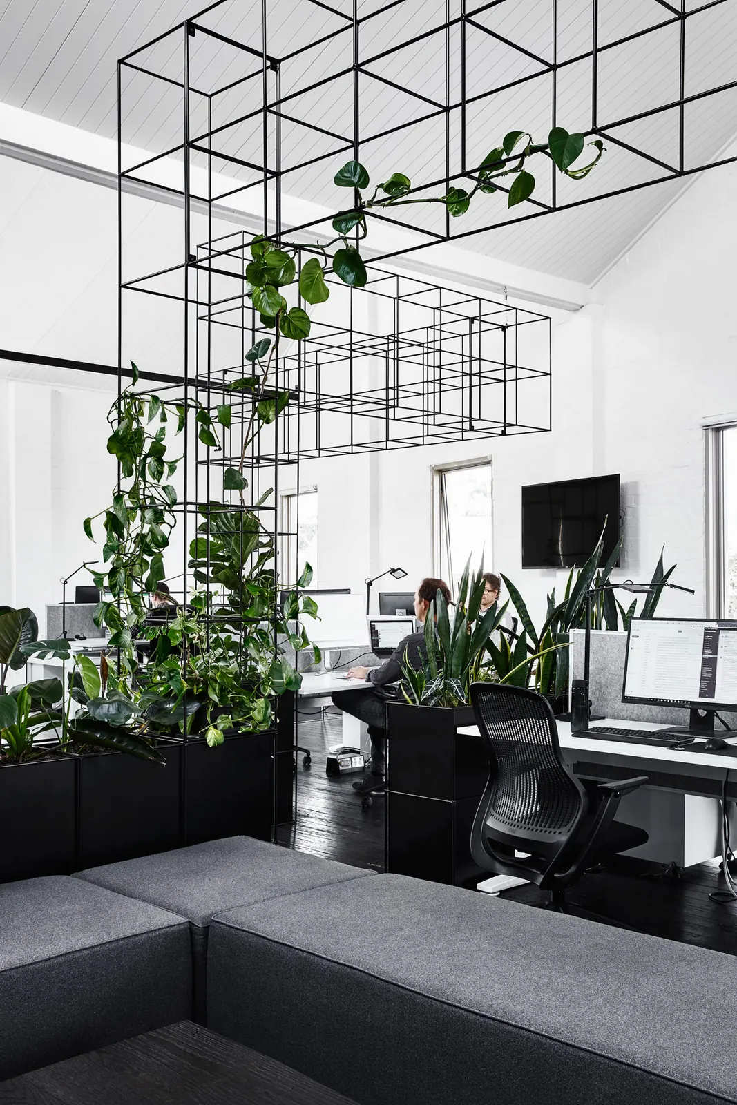 Biyofilik ofis tasarımı